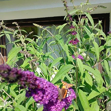 Rybacki 50 Metrow Do Morza! Aparthotel 3*