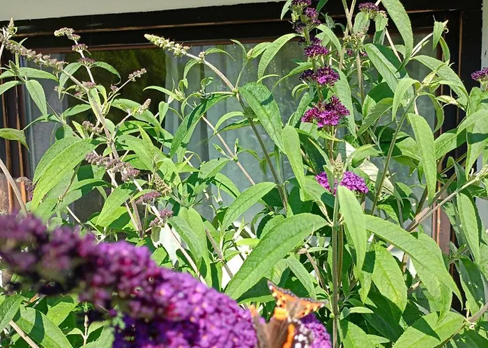 Rybacki 50 Metrow Do Morza! Apartmanhotel 3*